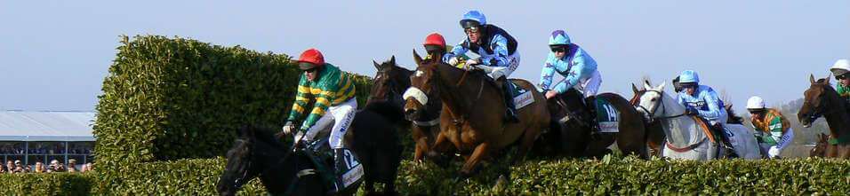 2007 Grand National