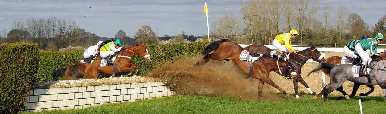 2009 Grand National