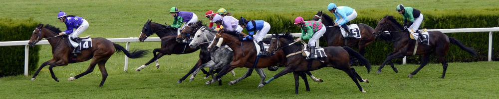 2010 Grand National