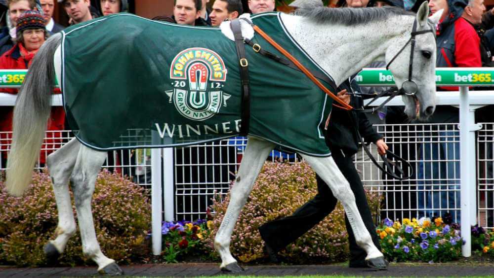 2012 Grand National Grey Horses