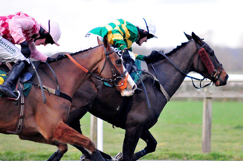 Grand National 2010