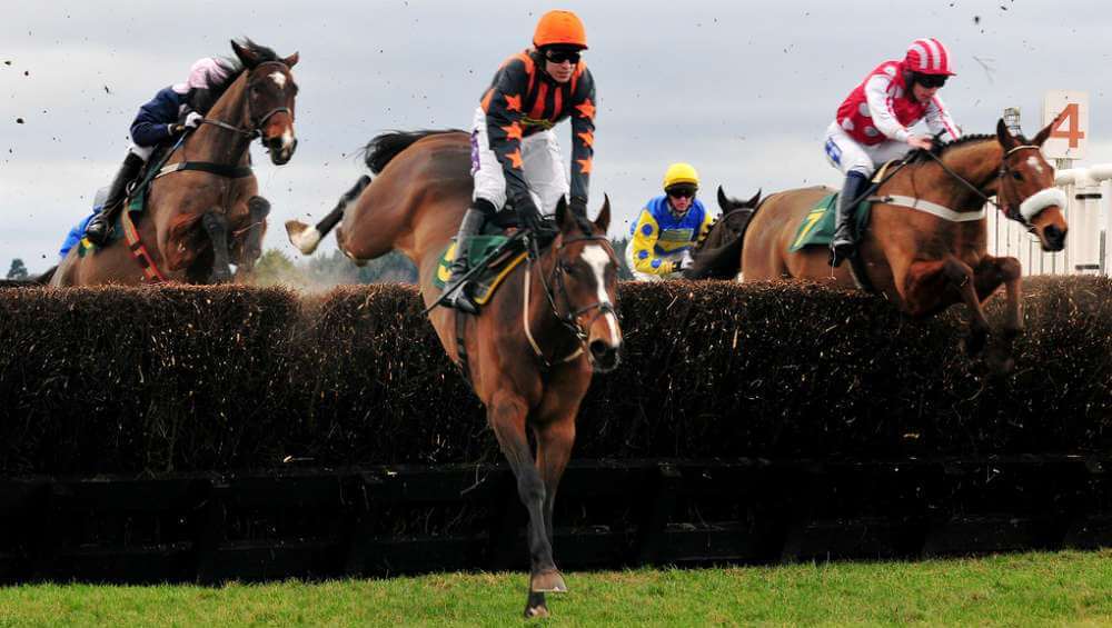 Grand National Fences