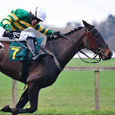 horses and riders for the grand national