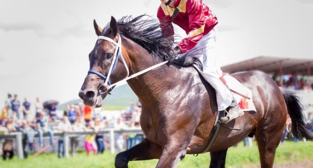 Scottish Grand National runners, odds, offers & free bets 2025