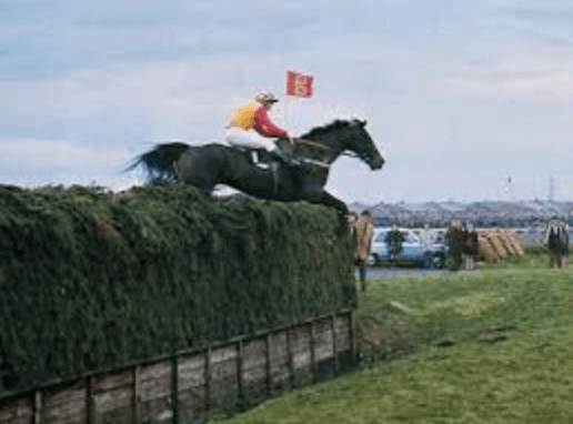 Crisp Grand National 1973