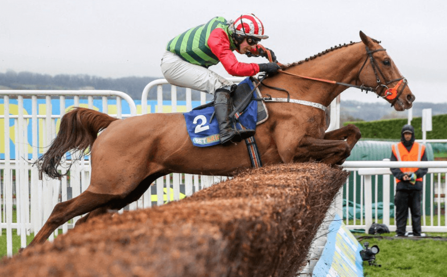 Definitly Red Set For Kelso Appearance