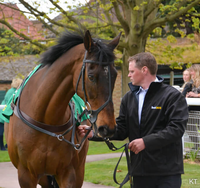 Five Great Grand National Memories