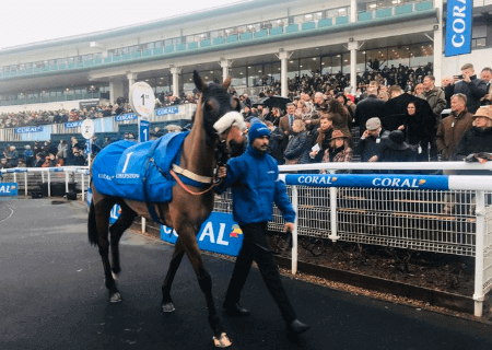 Elegant Escape Welsh Grand National