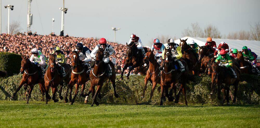 Grand National 2019