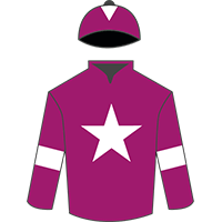 Gigginstown silks