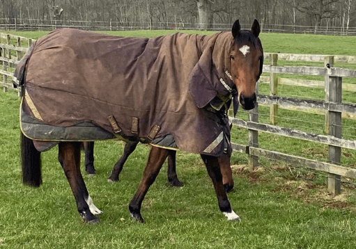 Cloth Cap at Kelso