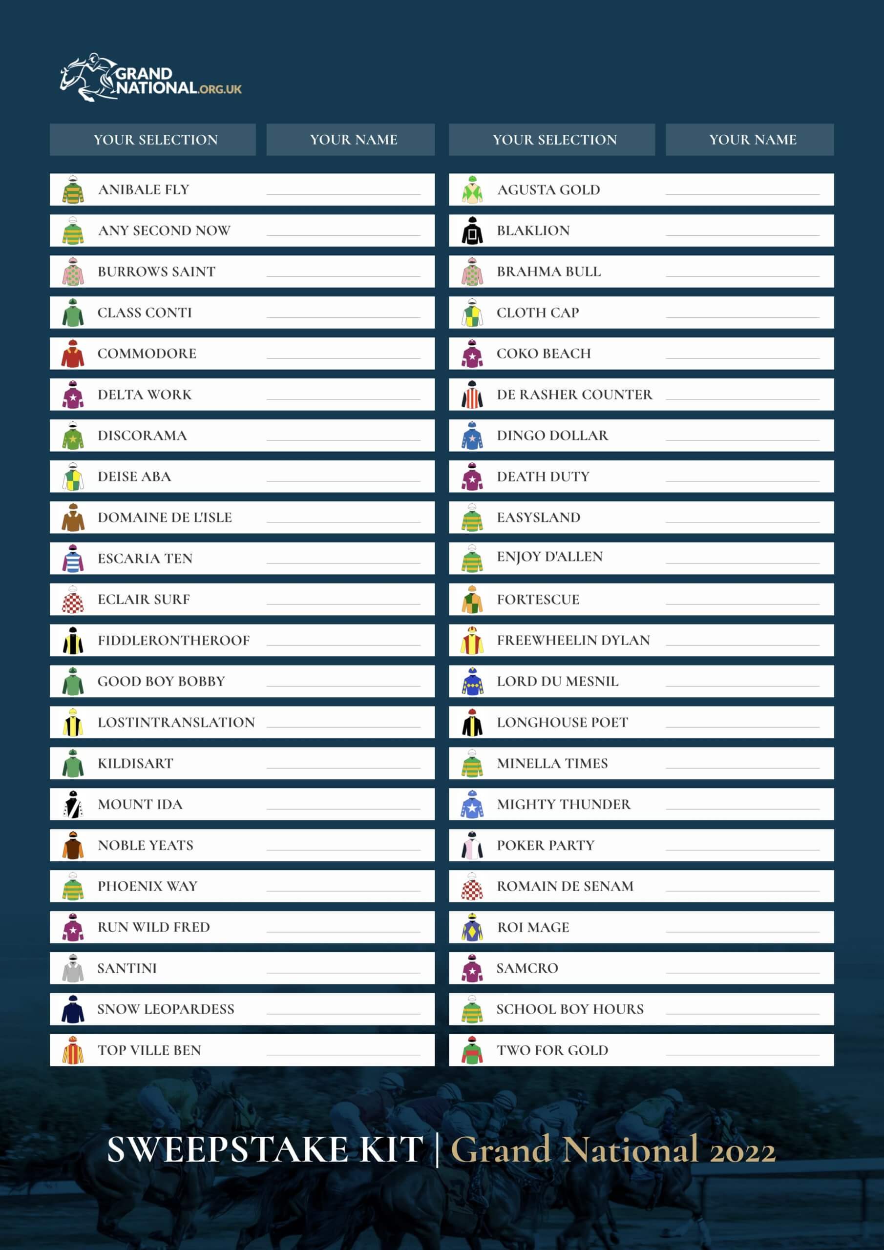 Grand National 2023 Sweepstake Kit Free PDF to print