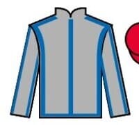» Grand National Runners 2025 | Confirmed Horses List & Odds