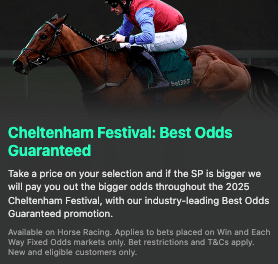 bet365 Best Odds Guaranteed Cheltenham betting offer