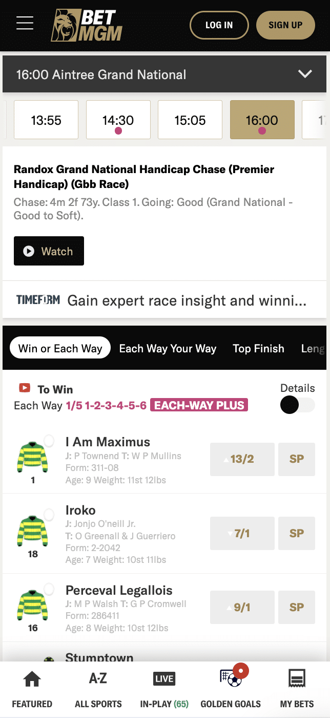 BetMGM Grand National 2025 Odds